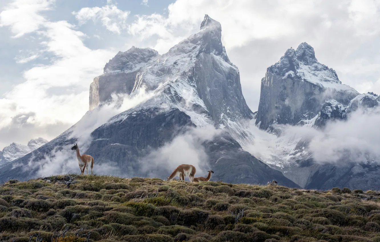 Photo wallpaper sky, rocks, fog, called, glade