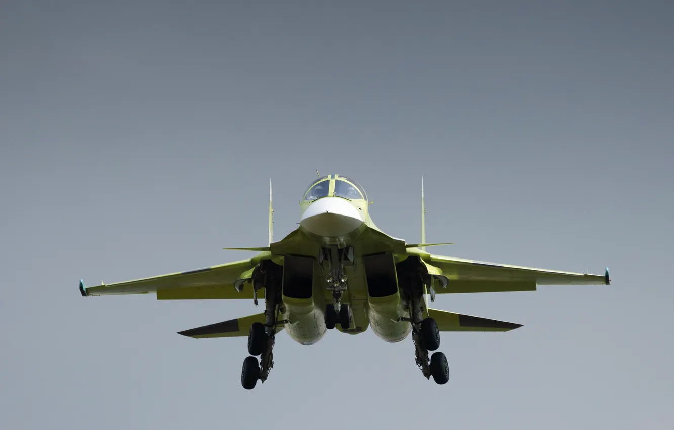 Photo wallpaper aircraft, military, Sukhoi, russian, vehicle, Russian Air Force, military vehicle, military aircraft