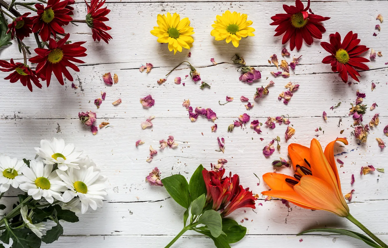 Photo wallpaper flowers, colorful, wood, flowers, composition, floral
