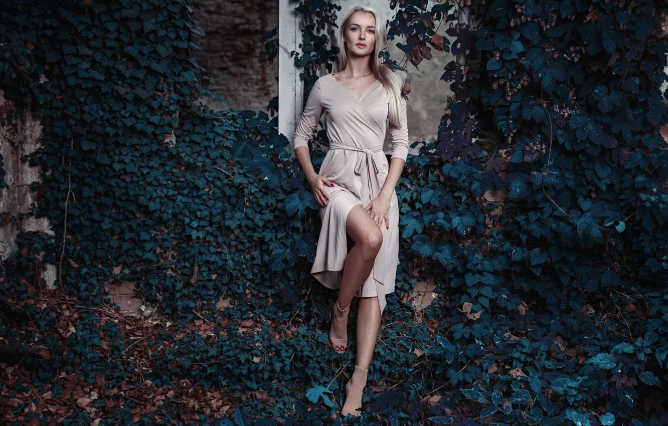 Photo wallpaper girl, pose, background