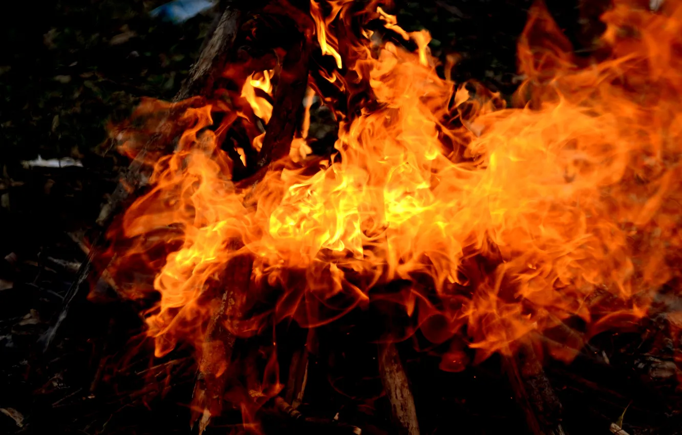 Photo wallpaper red, lights, flame, the fire