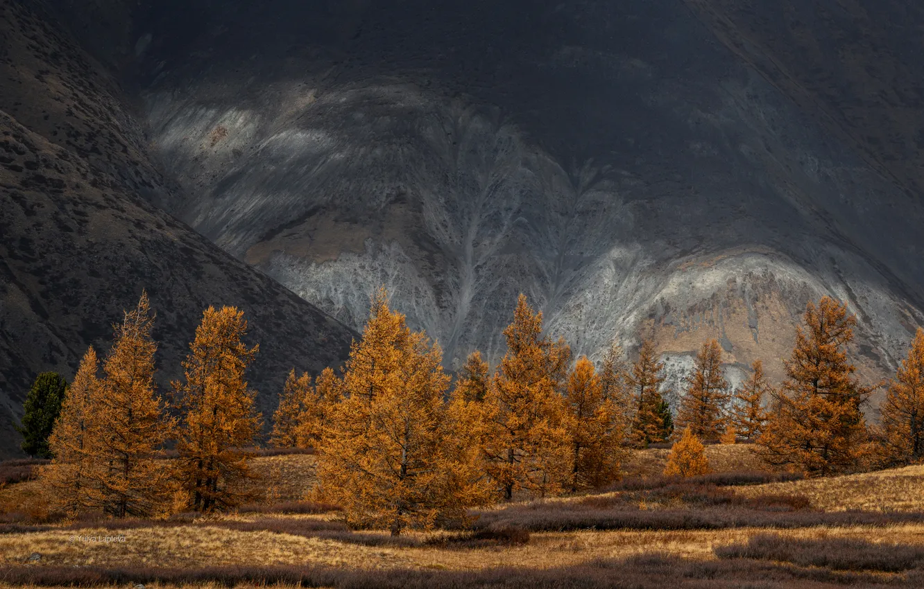 Photo wallpaper autumn, trees, mountains, the beauty of nature, the all-seeing eye, Lapteva Julia