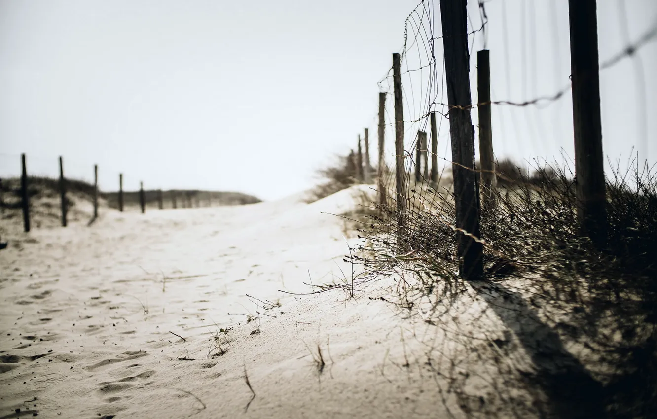 Photo wallpaper sand, beach, background, the fence