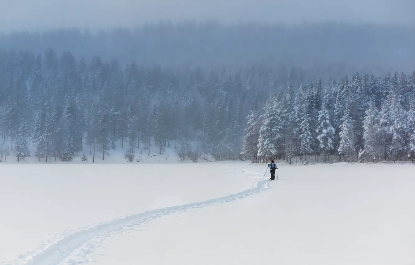 Photo wallpaper winter, field, snow, people