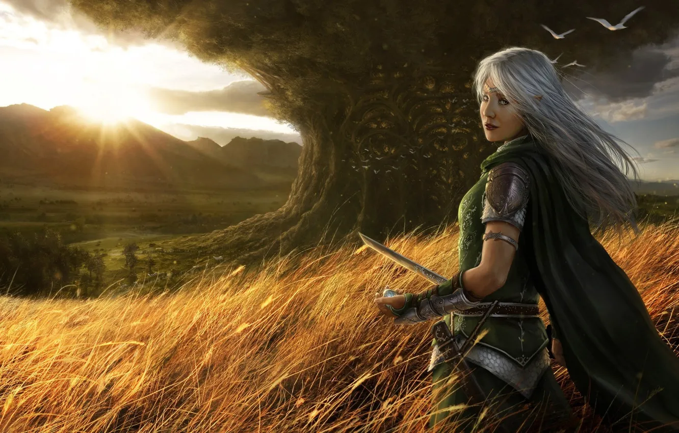 Photo wallpaper the sun, trees, sword, fantasy