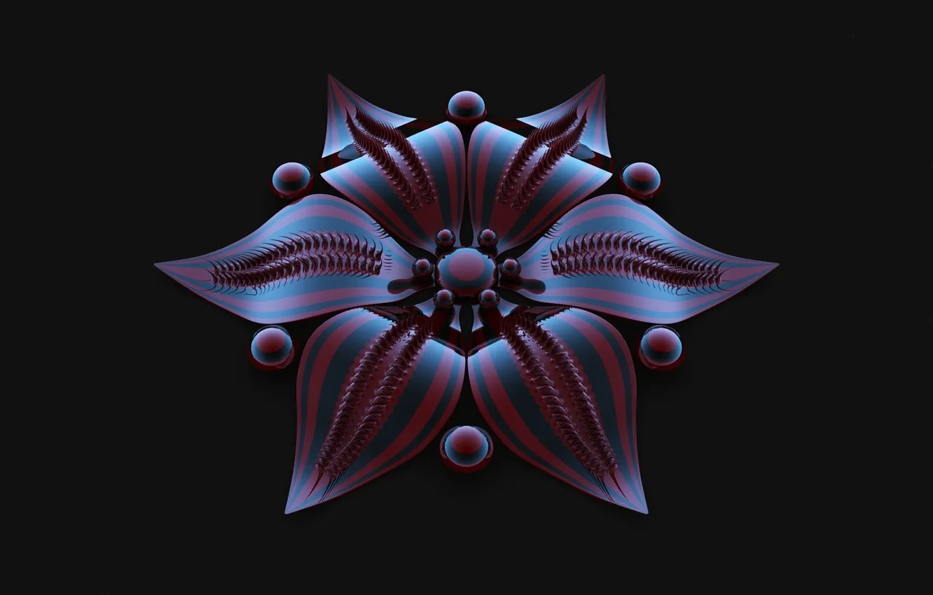 Photo wallpaper flowers, black background, 3D graphics