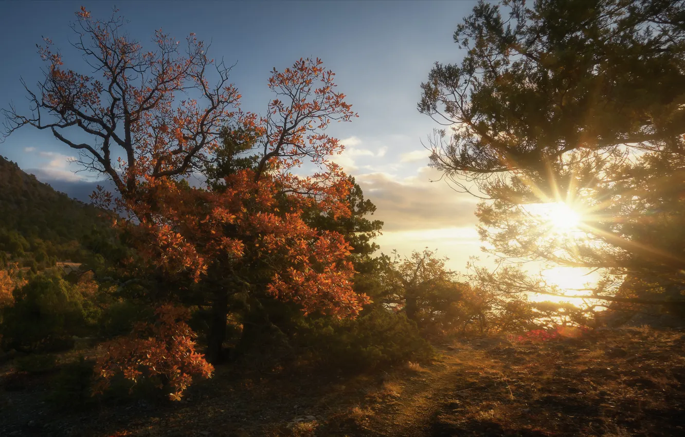 Photo wallpaper autumn, the sun, landscape, sunset, nature, Crimea, New Light, Alexey Bagaryakov