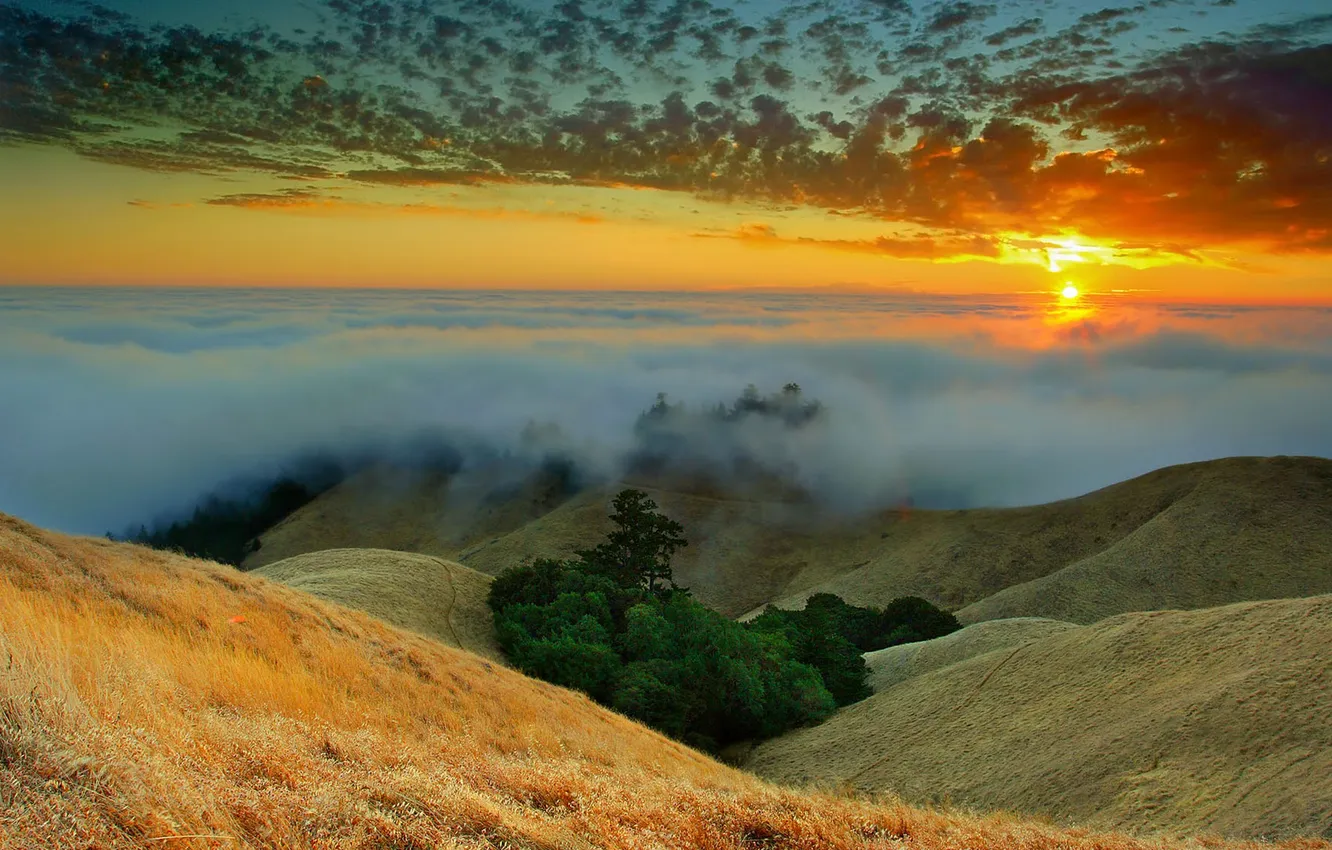 Photo wallpaper the sky, clouds, trees, sunset, mountains, fog