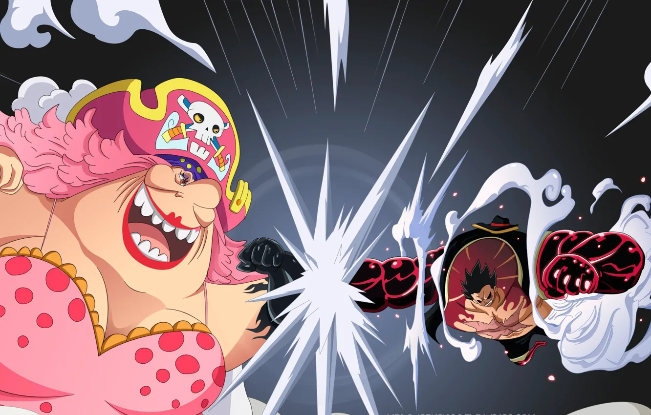 Photo wallpaper sake, game, One Piece, pirate, hat, anime, fight, punch
