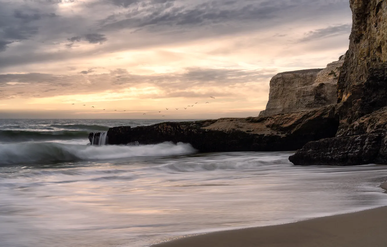Photo wallpaper sea, wave, beach, the sky, clouds, nature, bird, shore