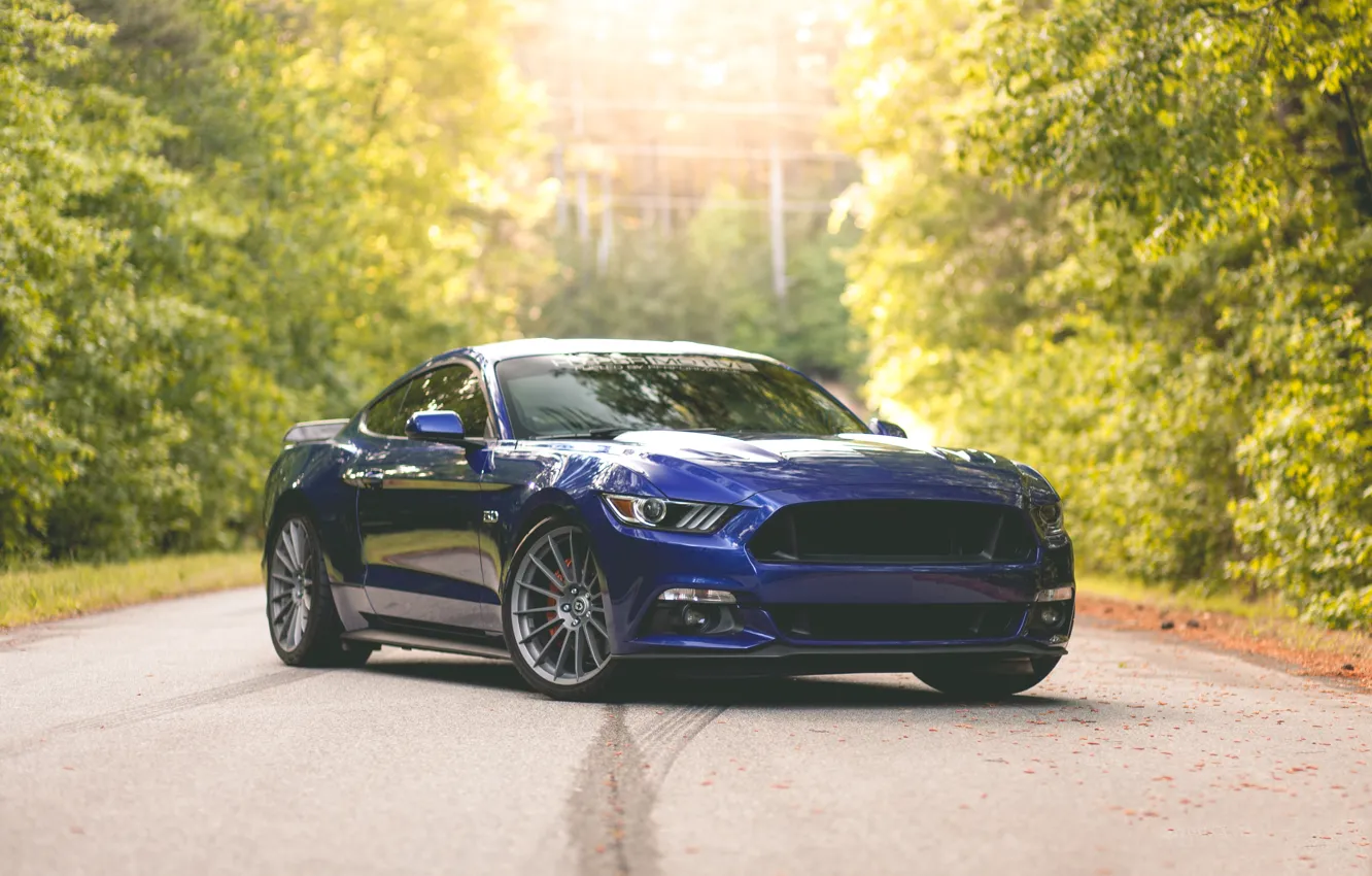 Photo wallpaper Mustang, Ford, Blue, 5.0, 2015