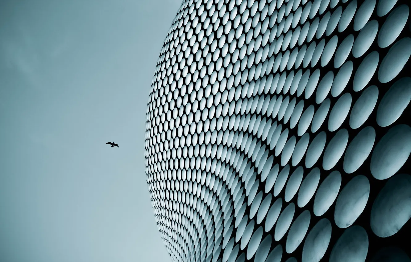 Photo wallpaper background, color, form