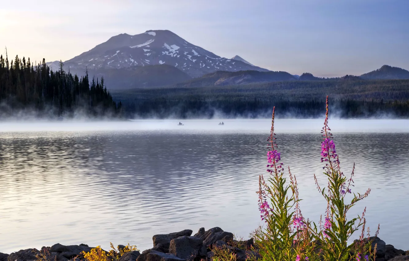 Photo wallpaper flowers, mountains, shore, pond, Ivan-tea