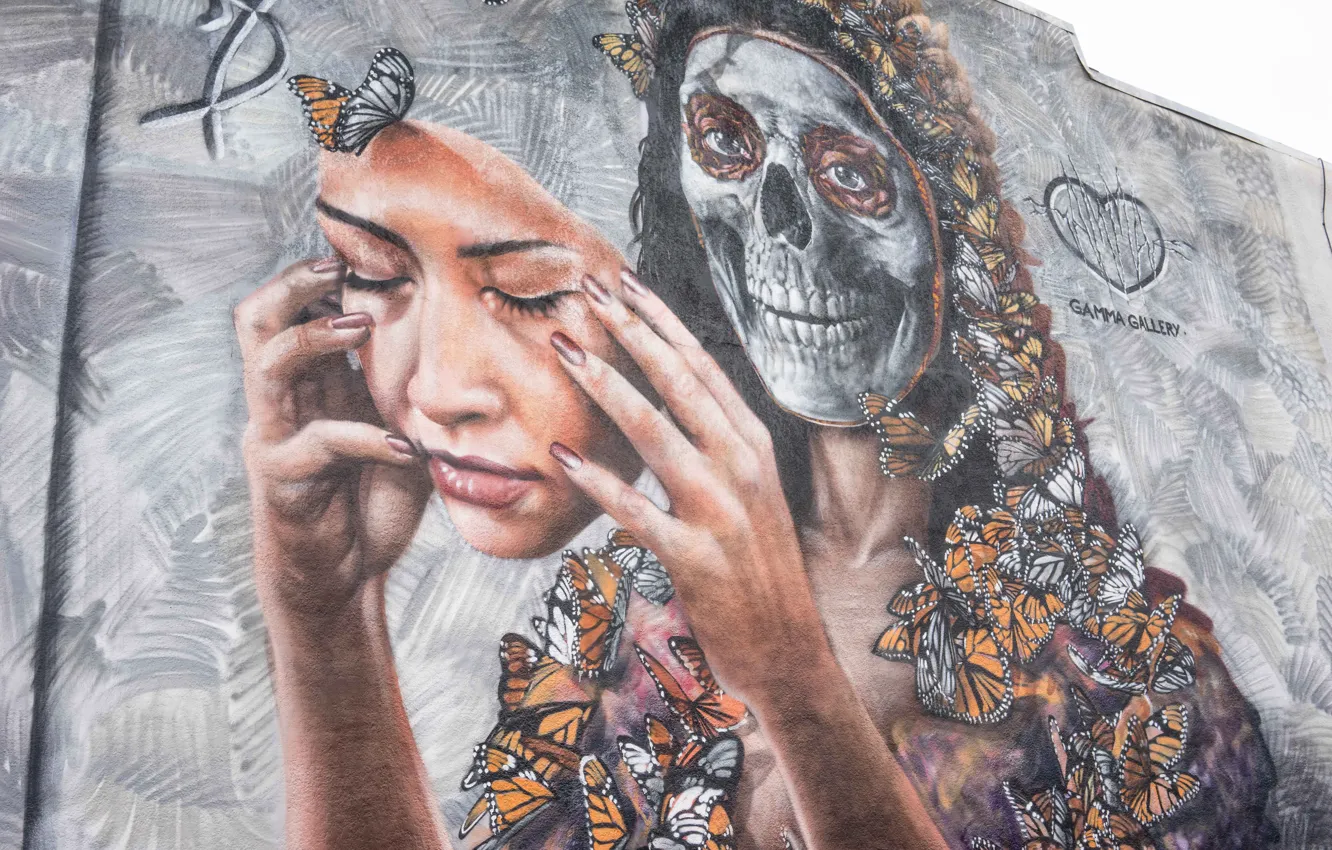 Photo wallpaper graffiti, graffiti, Denver, Denver, street art, MURAL, wall painting, Mural