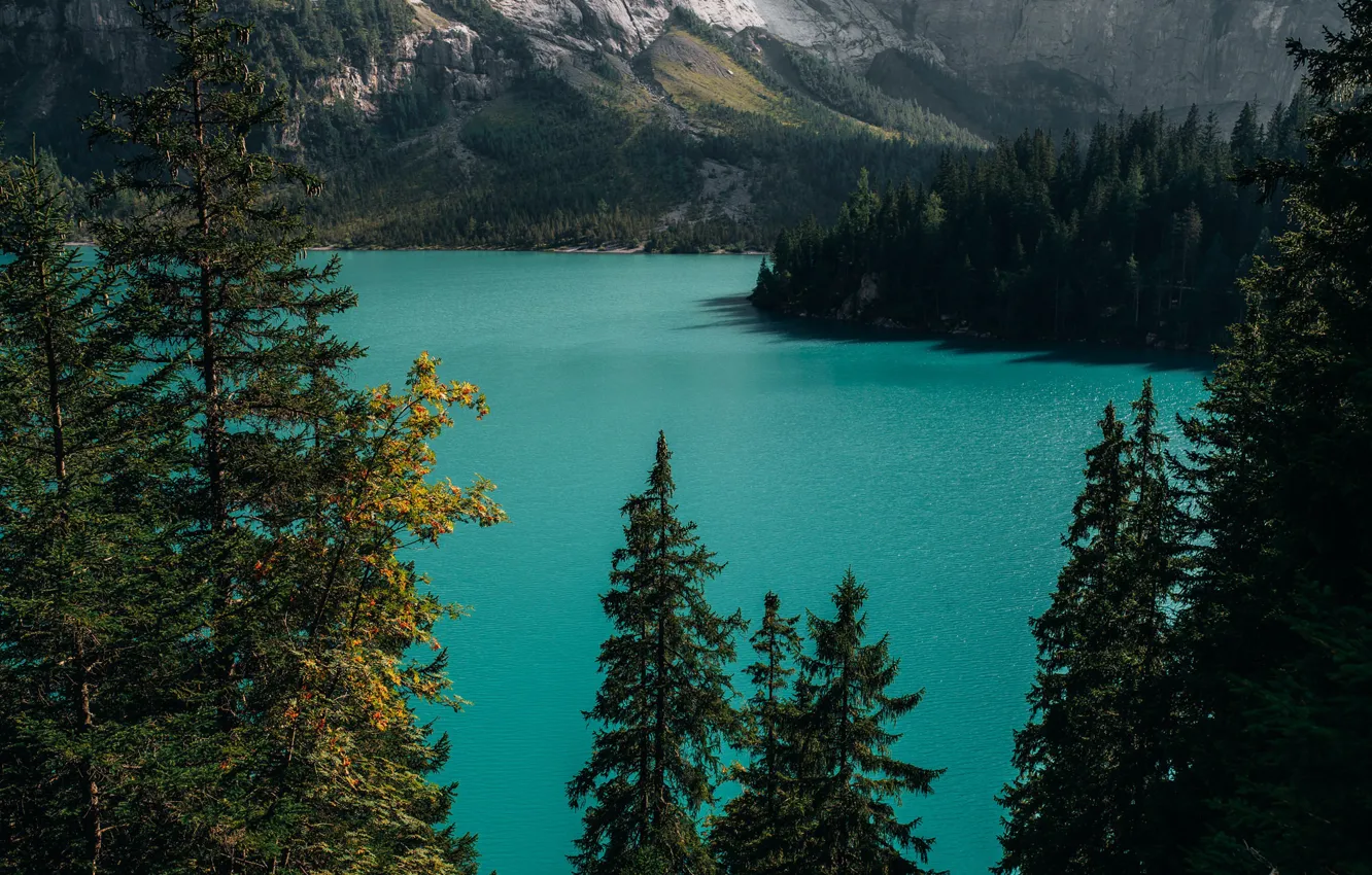 Photo wallpaper trees, mountains, nature, lake, Alps