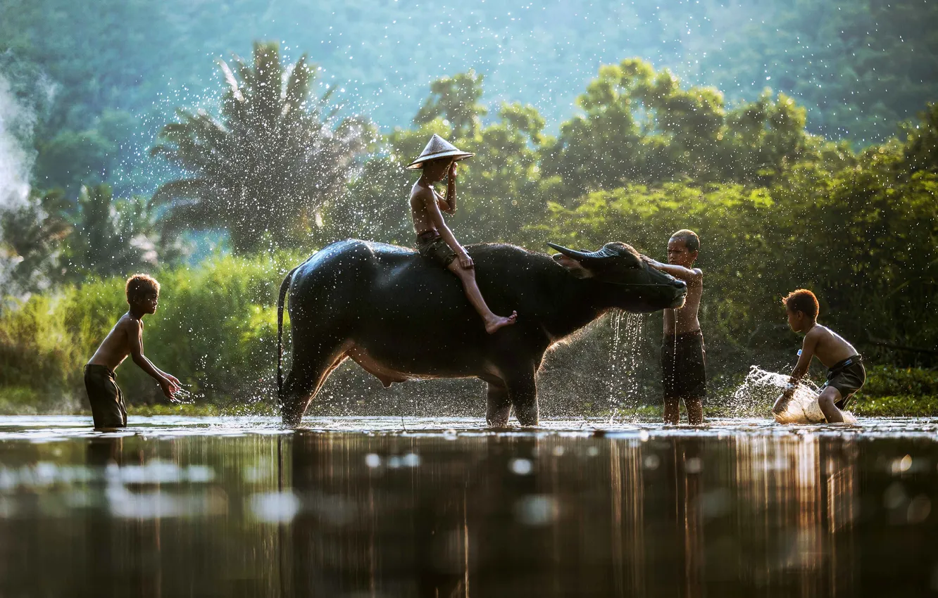 Photo wallpaper Thailand, nature, people, man