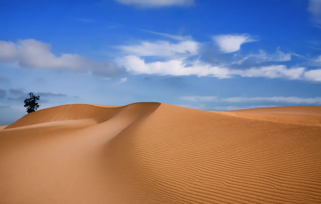 Photo wallpaper sand, the sky, landscape