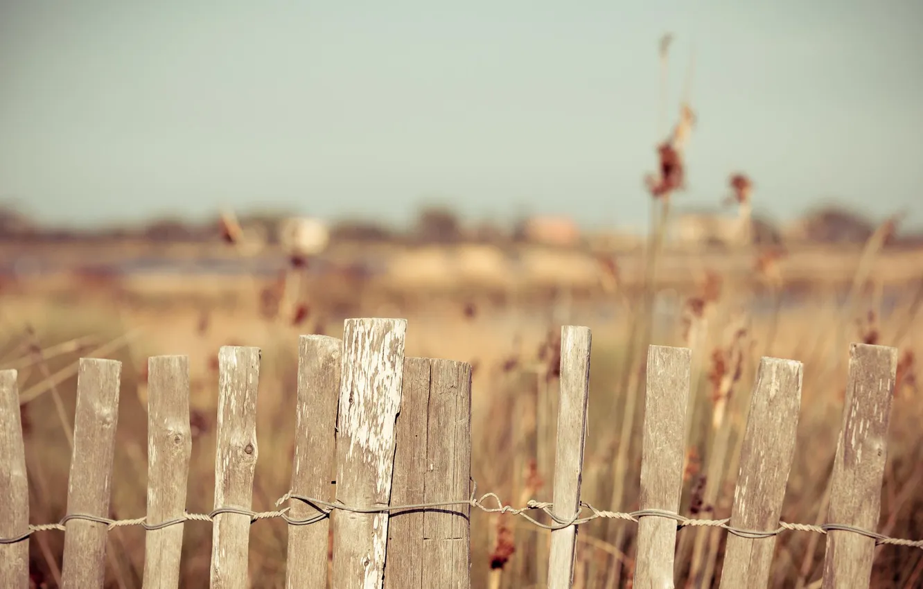 Photo wallpaper trees, the fence, fence
