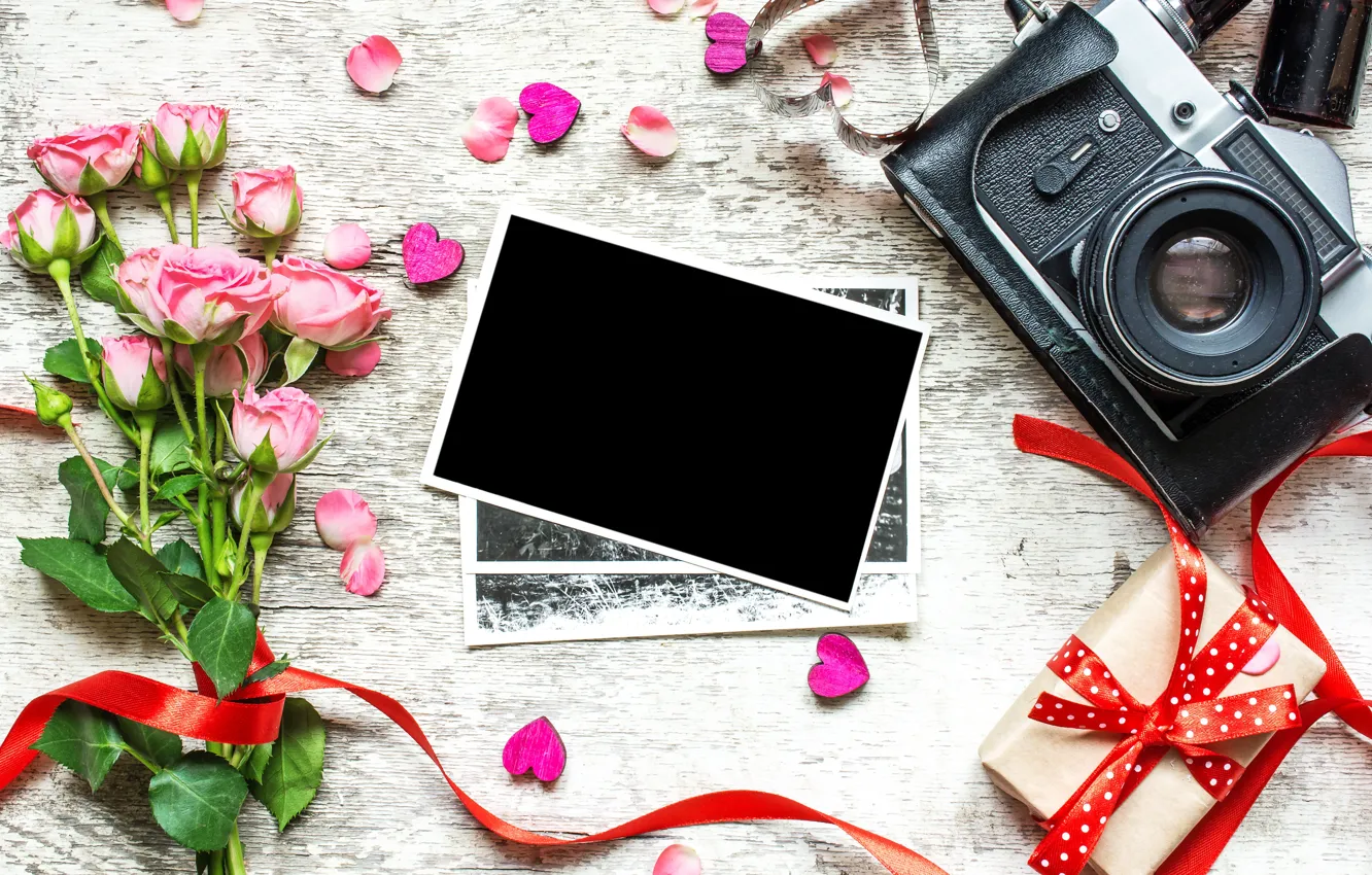 Photo wallpaper flowers, photo, gift, roses, bouquet, camera, frame, petals