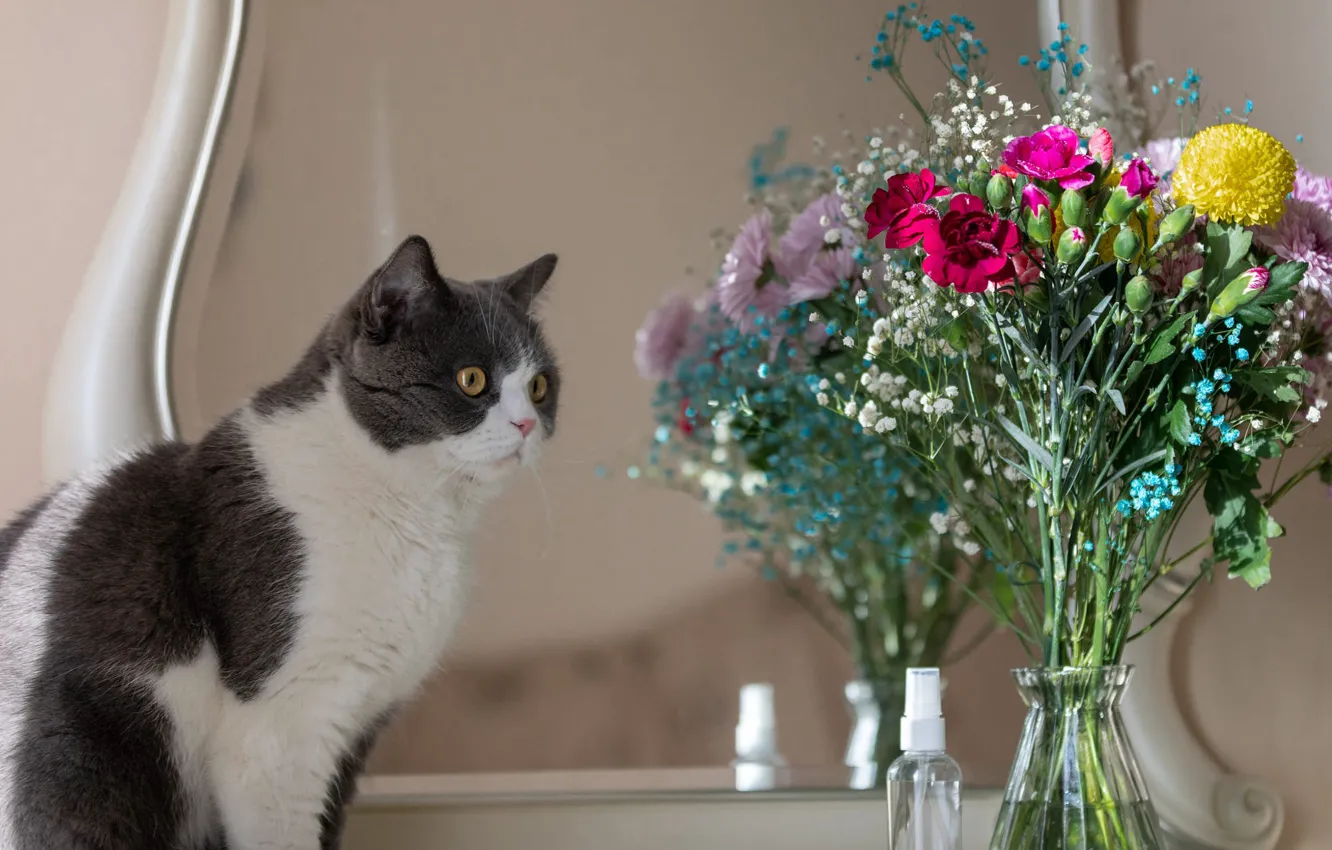 Photo wallpaper cat, cat, look, flowers, bouquet, mirror, vase, different