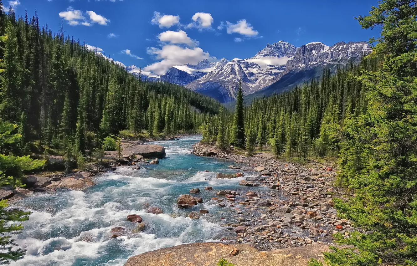 Photo wallpaper forest, mountains, river, Canada, Albert, Banff National Park, Alberta, Canada