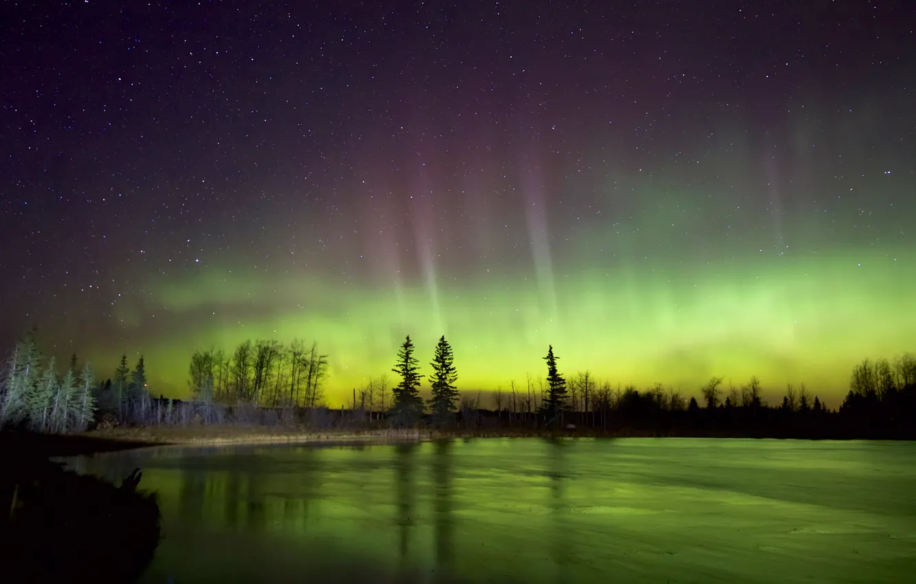 Photo wallpaper the sky, stars, trees, night, lake, Northern lights
