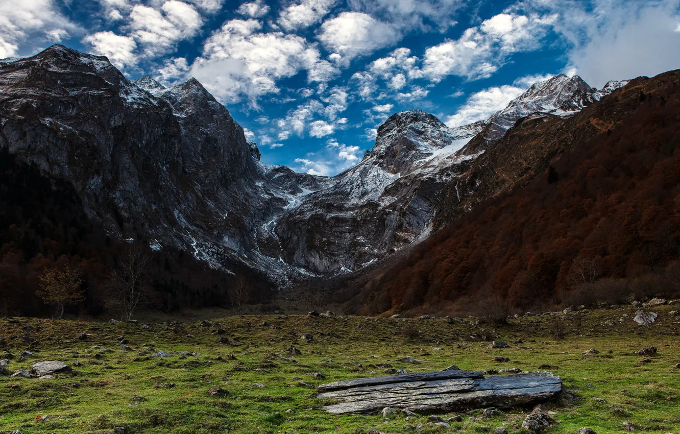 Photo wallpaper forest, the sky, clouds, mountains, Wallpaper from lolita777