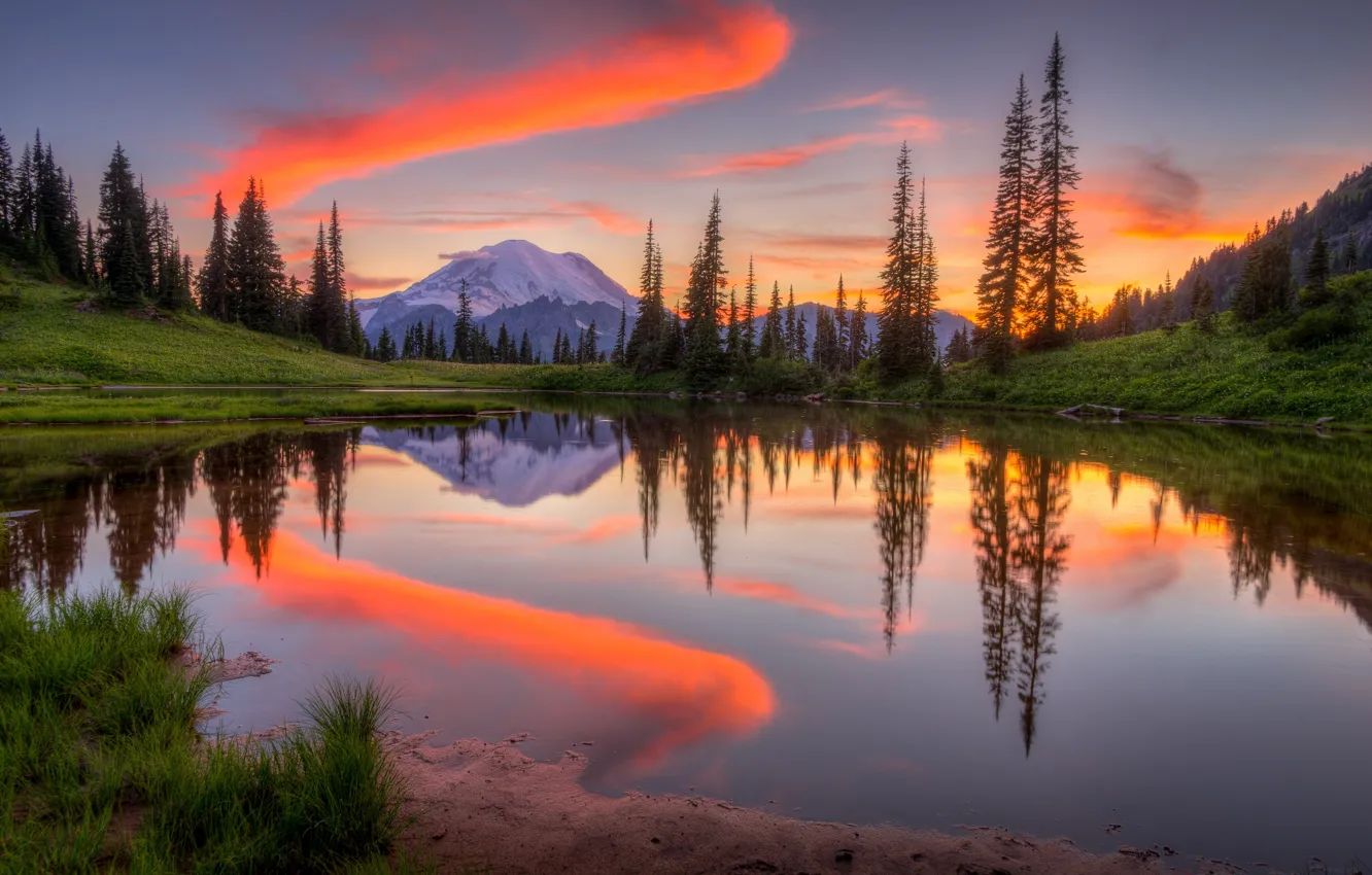 Photo wallpaper forest, trees, sunset, mountains, lake
