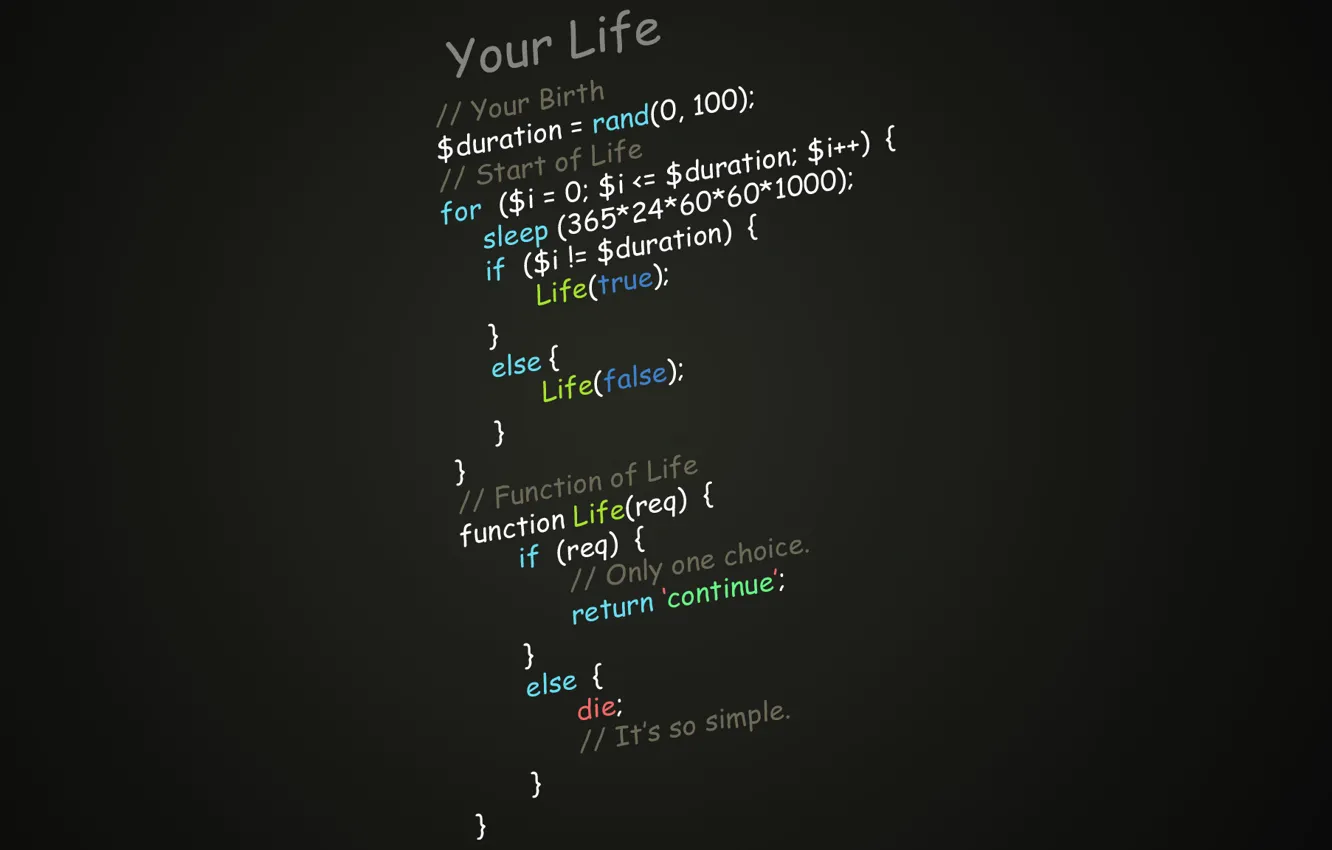 Photo wallpaper programming, function of life, script