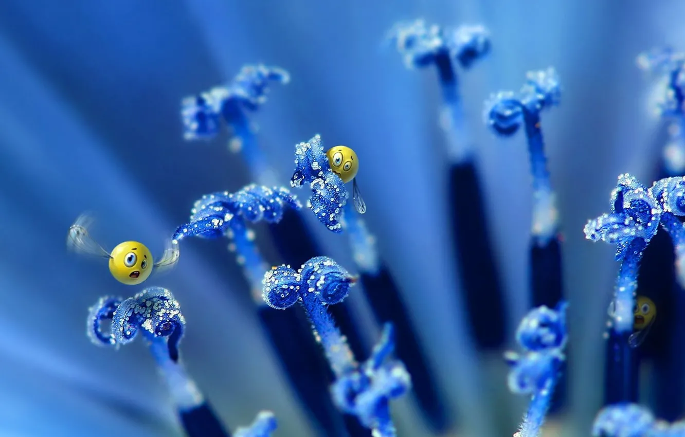 Photo wallpaper flowers, blue, smile