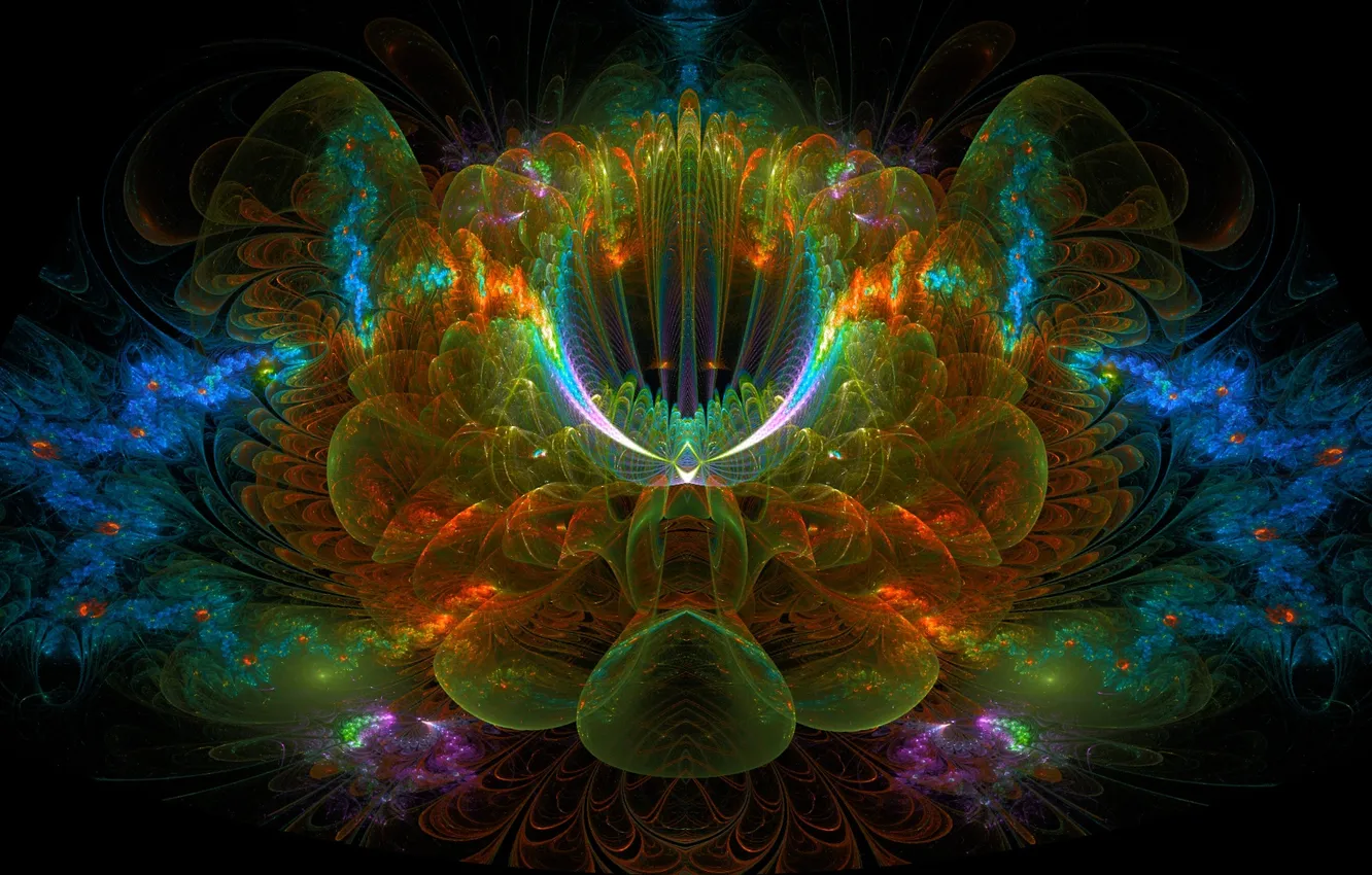 Photo wallpaper flower, rays, line, fractal, the volume, symmetry