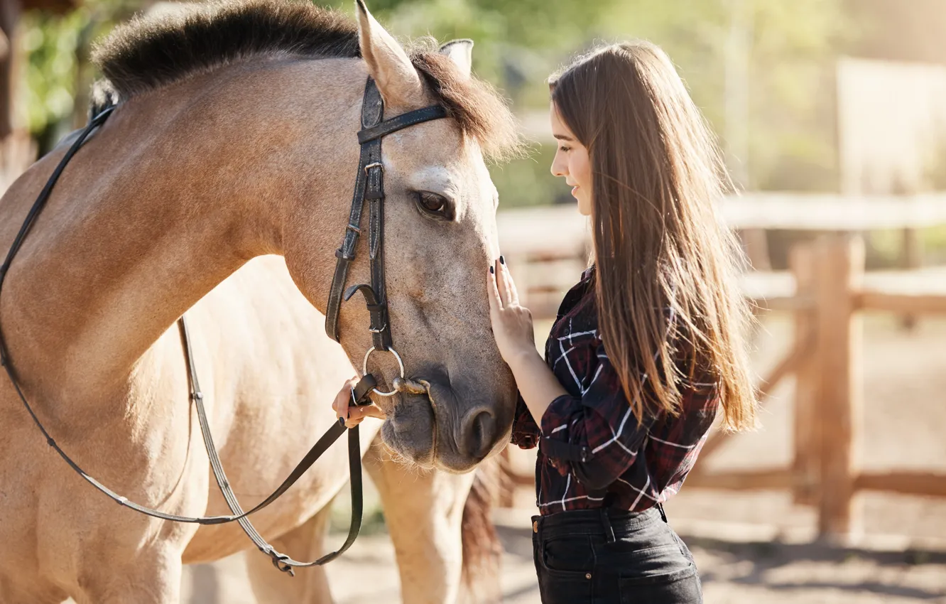 Photo wallpaper look, girl, light, pose, each, horse, horse, brown hair