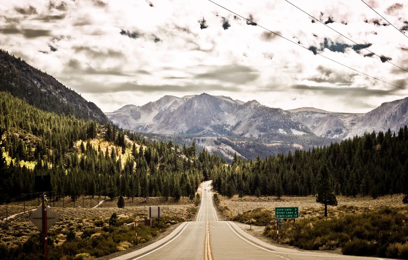 Photo wallpaper road, forest, mountains