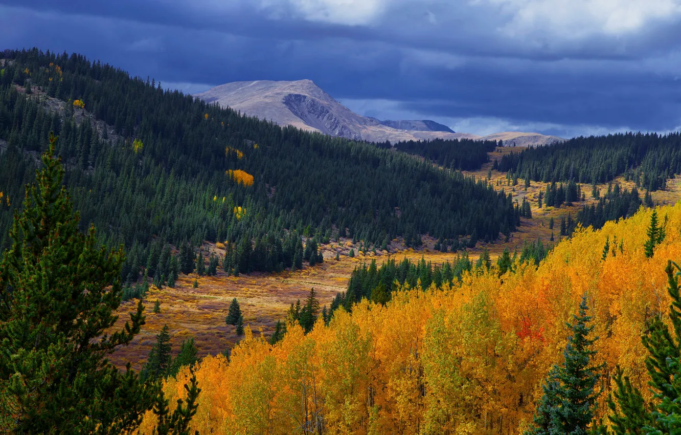 Photo wallpaper autumn, forest, mountains, autumn in the mountains