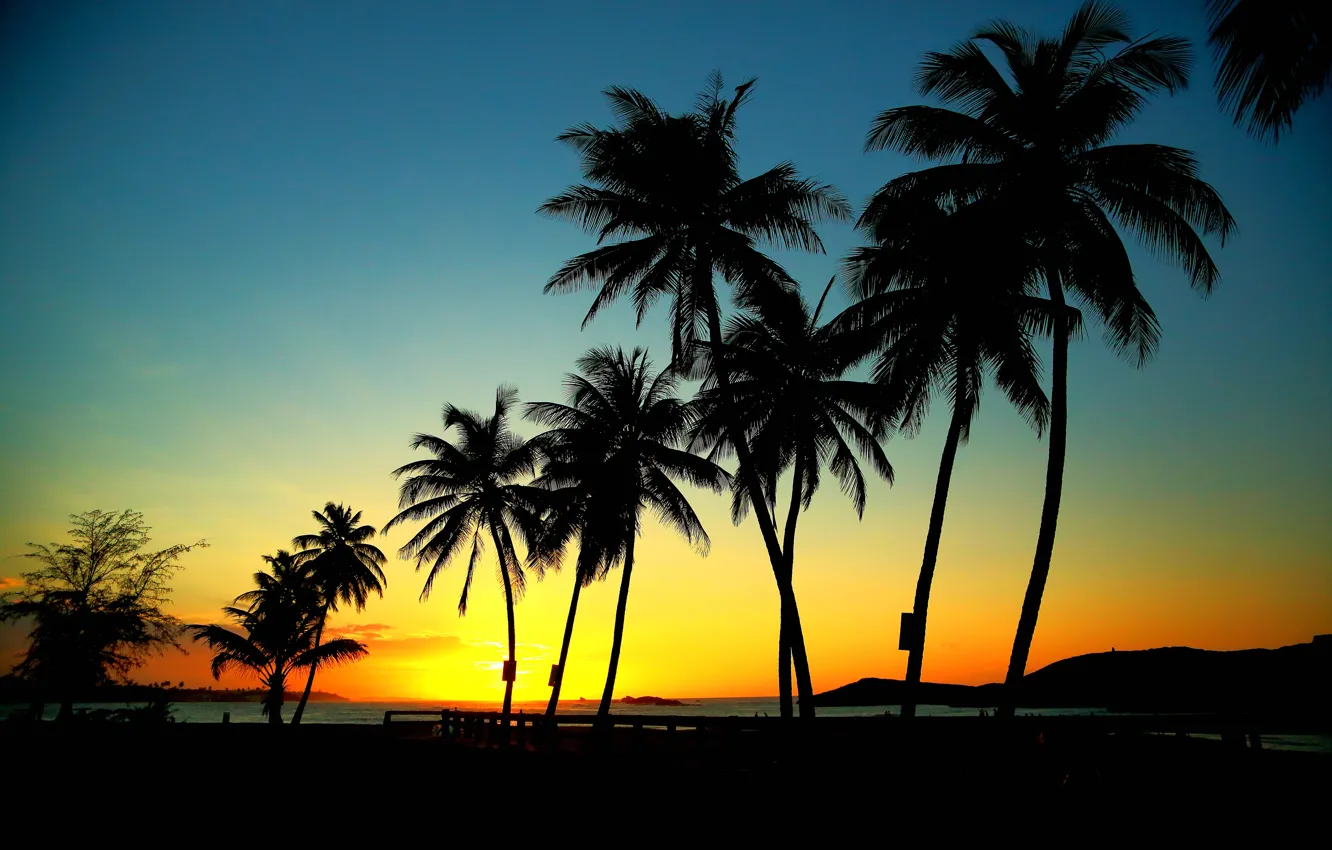 Photo wallpaper sea, the sky, sunset, mountains, palm trees