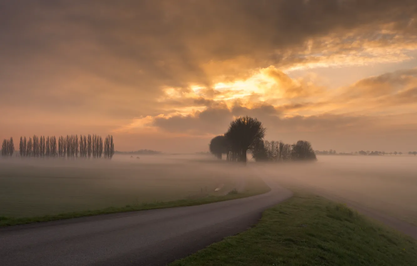 Photo wallpaper road, field, the sky, clouds, trees, sunset, fog, the evening
