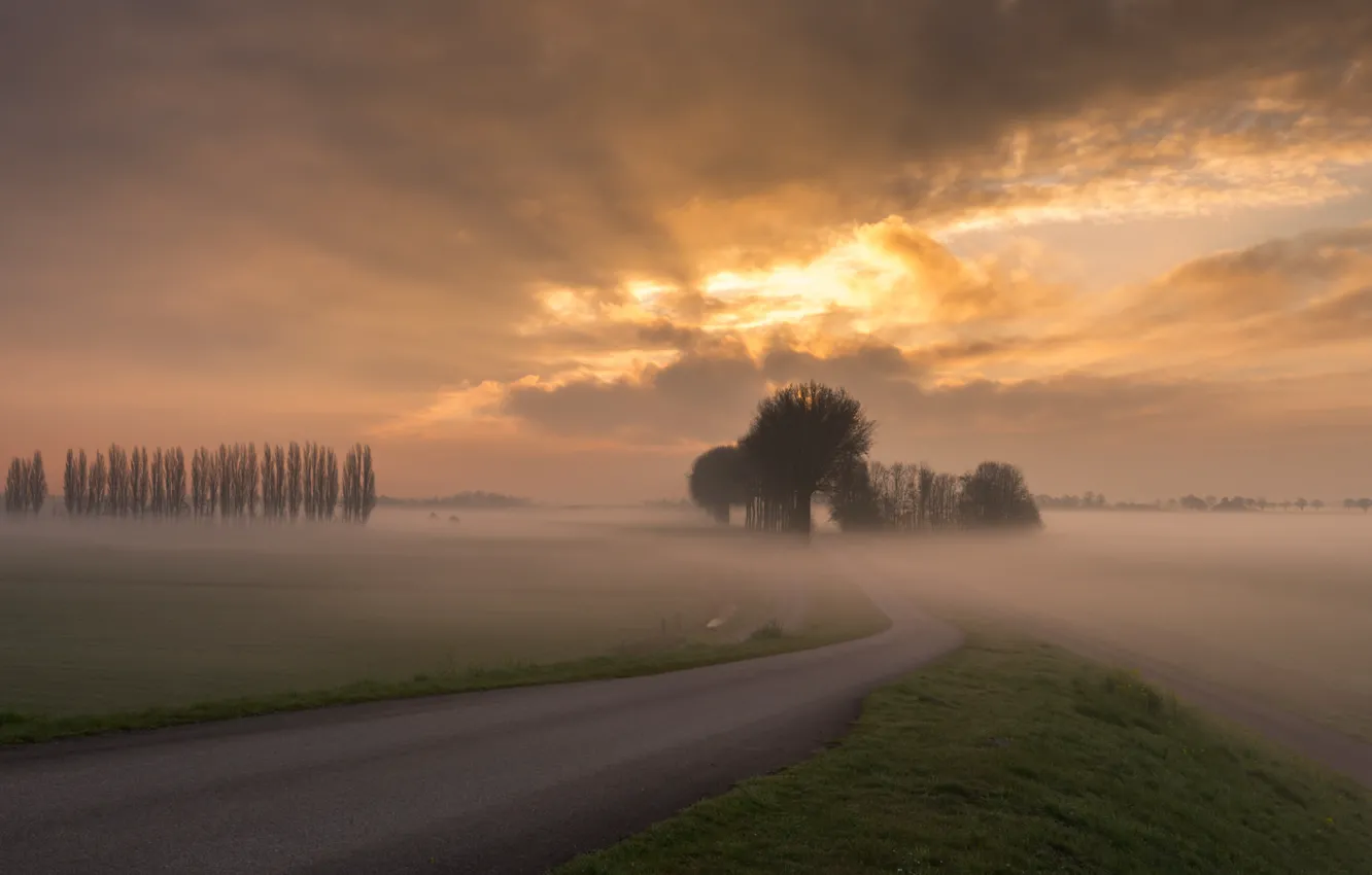 Photo wallpaper road, the sky, clouds, trees, sunset, fog, Field, the evening