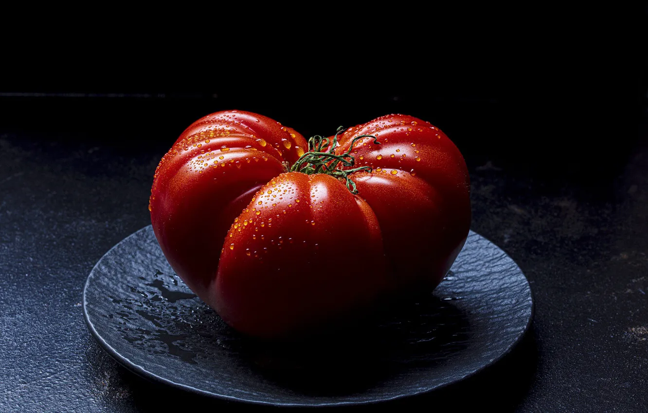 Photo wallpaper black background, tomatoes, tomatoes