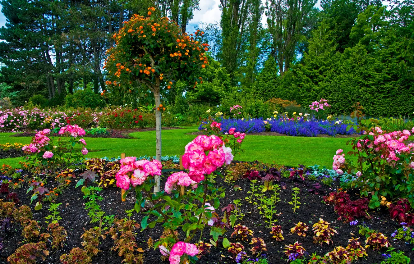 Photo wallpaper greens, grass, trees, flowers, Park, lawn, Canada, Vancouver