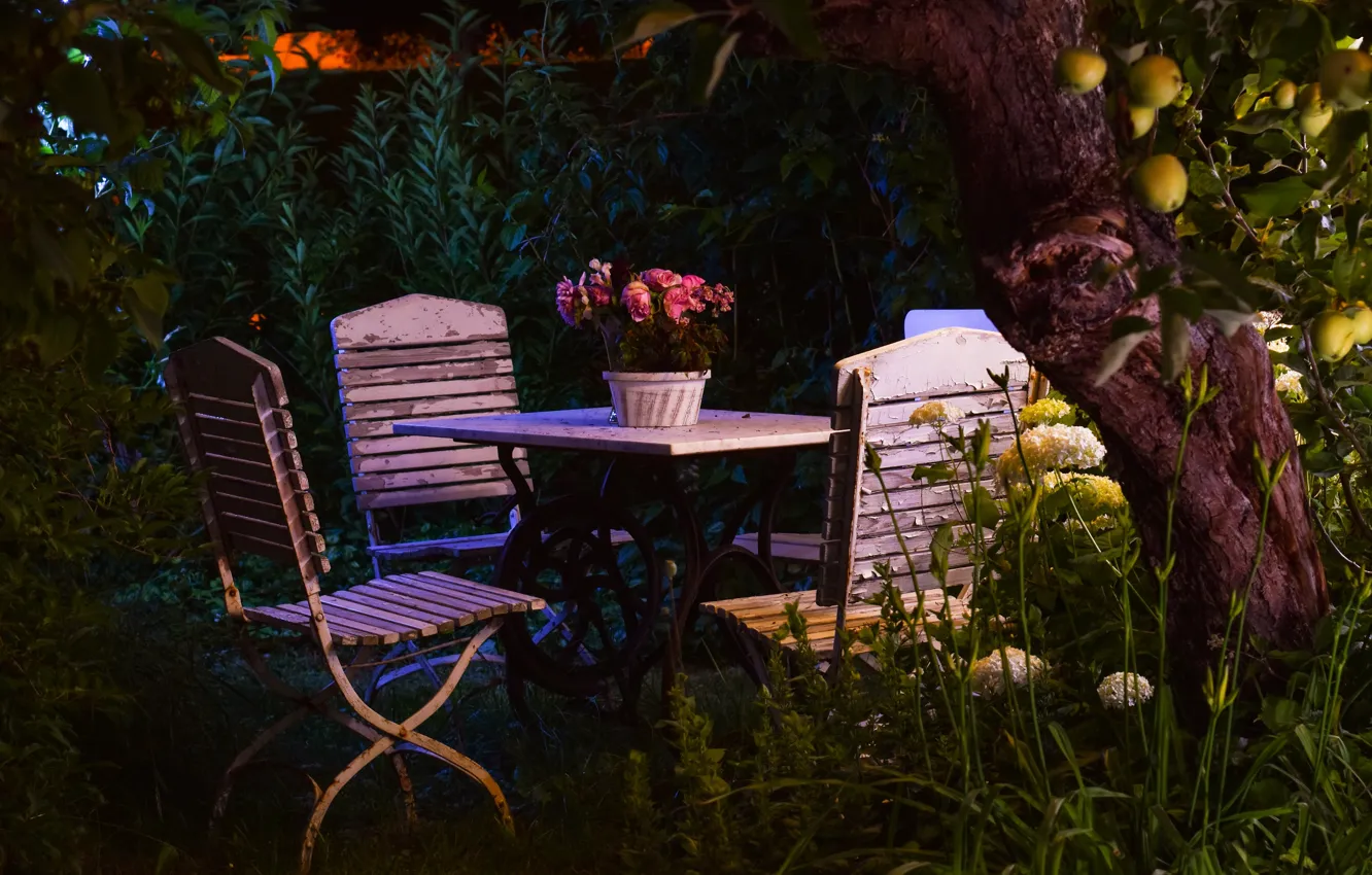 Photo wallpaper leaves, trees, flowers, night, comfort, thickets, apples, plant