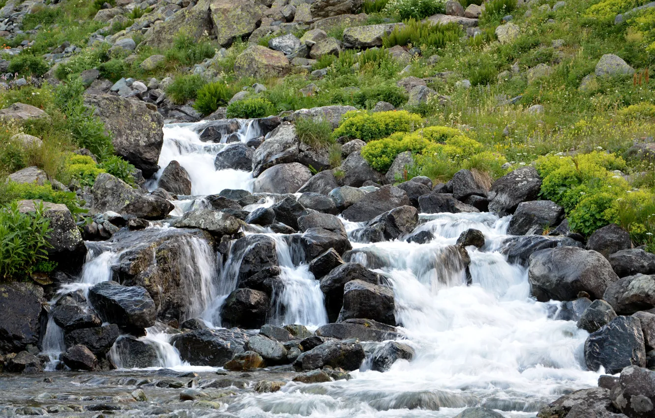 Photo wallpaper grass, stones, waterfall, river