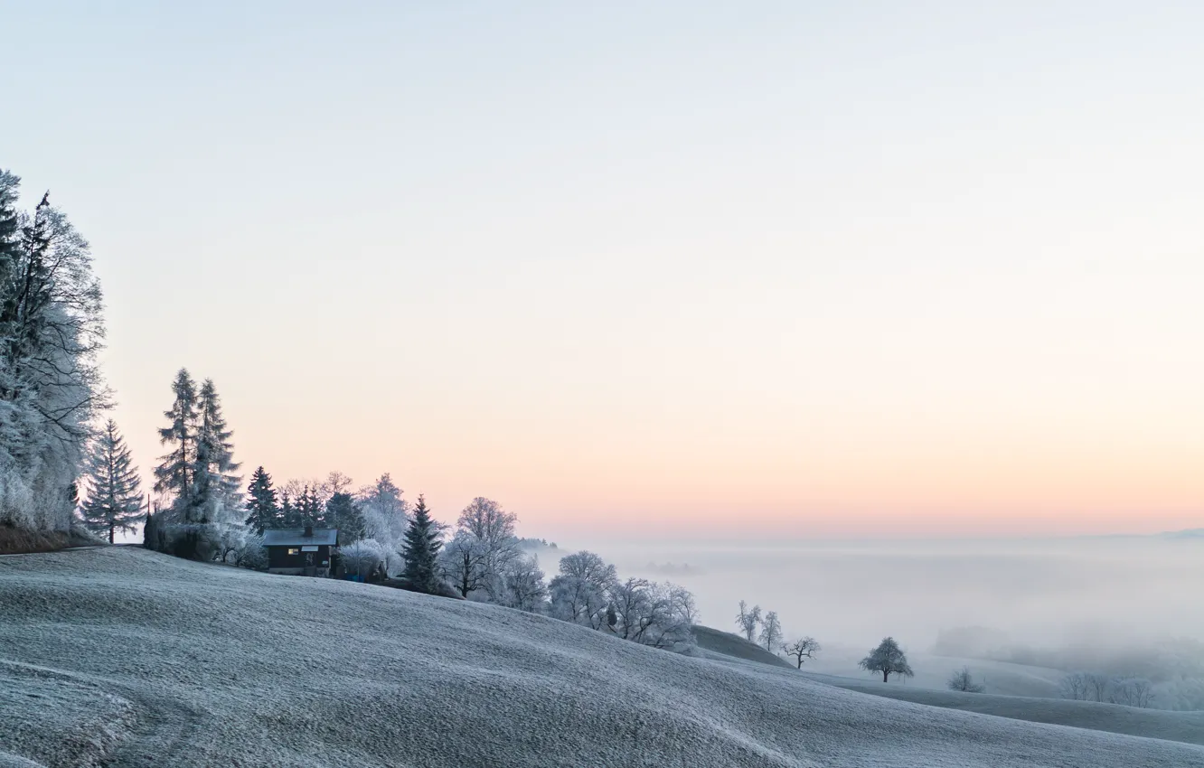 Photo wallpaper winter, fog, morning