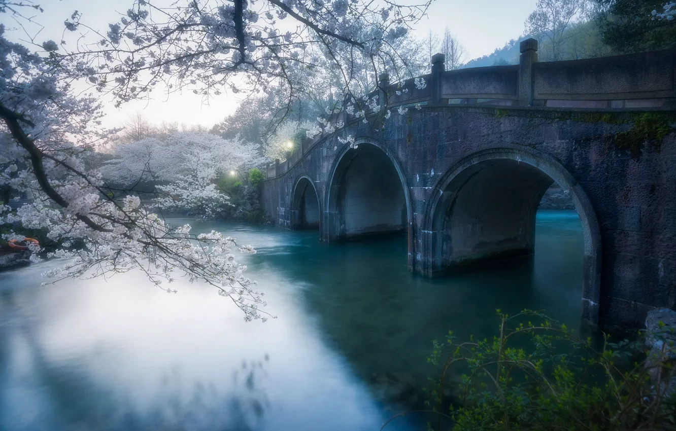 Photo wallpaper flowers, branches, bridge, spring, Sakura, channel, arch, flowering