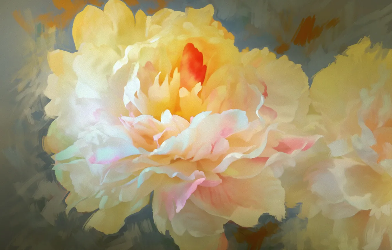 Photo wallpaper flowers, petals, peonies
