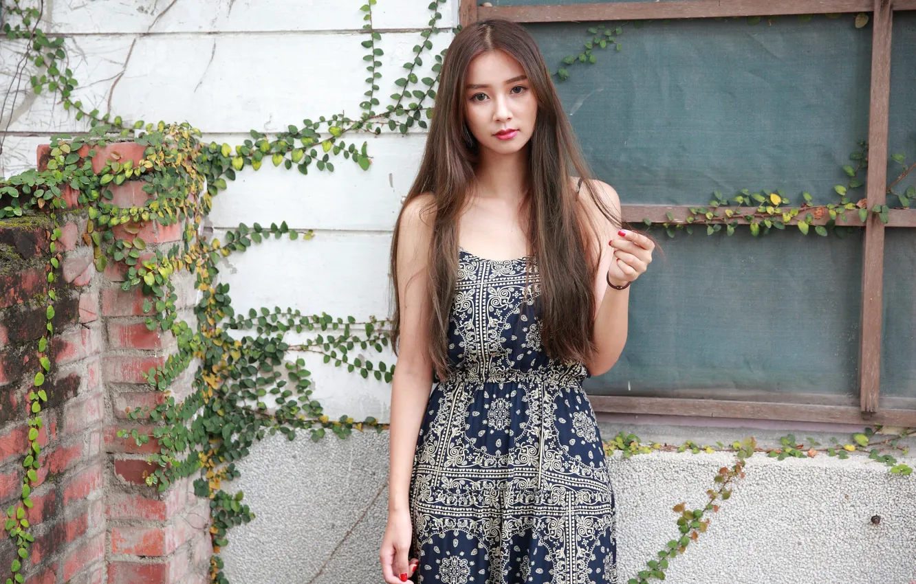Photo wallpaper look, girl, hair, dress, Asian