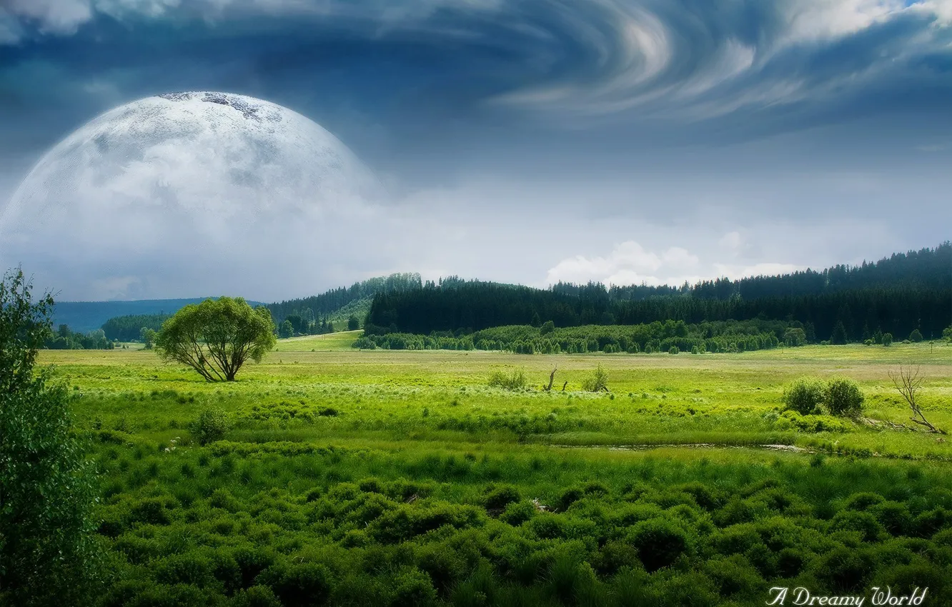 Photo wallpaper field, forest, clouds, the moon, Dreamy World