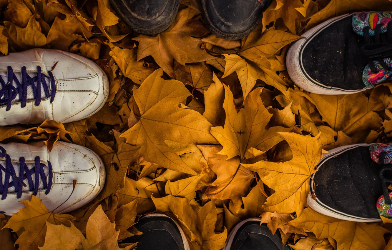 Photo wallpaper autumn, leaves, fall, feet
