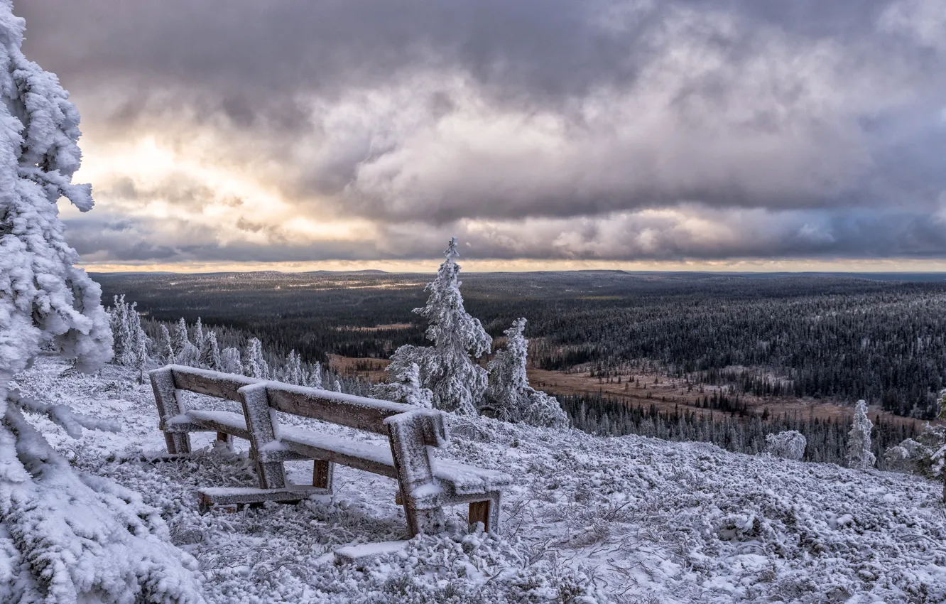 Photo wallpaper winter, Finland, Finland, Posio