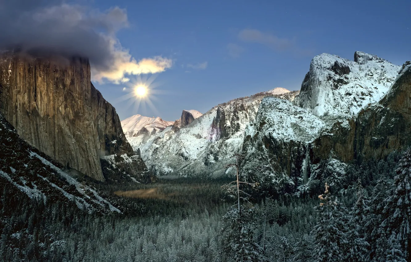 Photo wallpaper forest, landscape, mountains