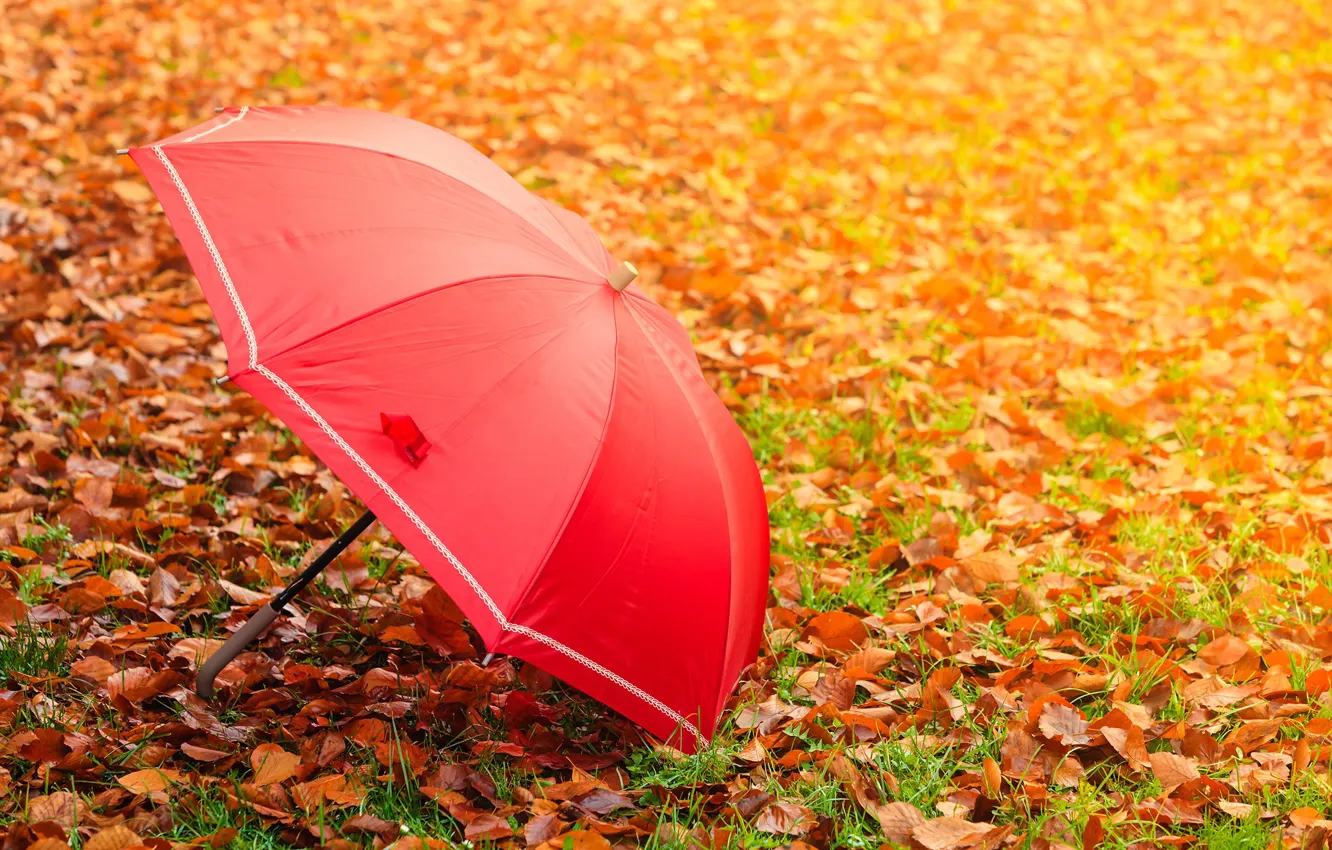 Photo wallpaper autumn, foliage, umbrella